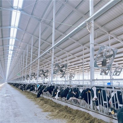 410W ventilator stoke